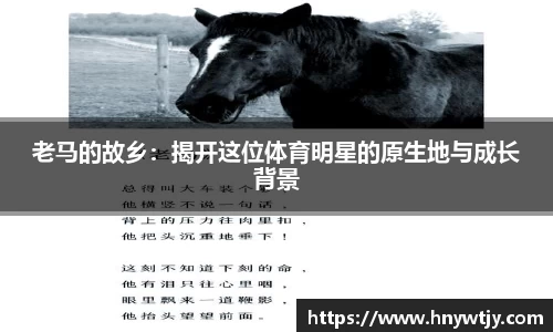 bsports官网入口