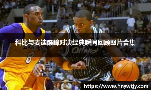 B体育bsports