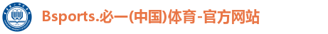 B体育官网